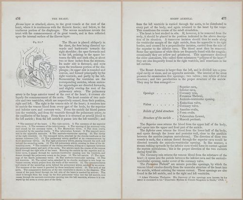 E675 - A System of Human Anatomy - 1857 - 4942-4943