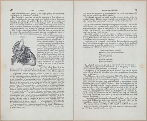 E675 - A System of Human Anatomy - 1857 - 4944-4945