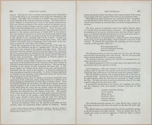 E675 - A System of Human Anatomy - 1857 - 4946-4947