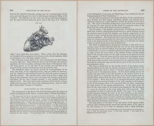 E675 - A System of Human Anatomy - 1857 - 4948-4949