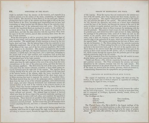 E675 - A System of Human Anatomy - 1857 - 4950-4951