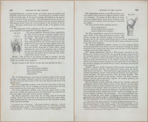 E675 - A System of Human Anatomy - 1857 - 4954-4955