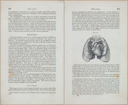 E675 - A System of Human Anatomy - 1857 - 4958-4959