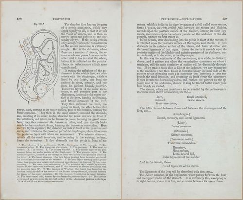 E675 - A System of Human Anatomy - 1857 - 4964-4965