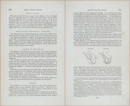 E675 - A System of Human Anatomy - 5774-5775