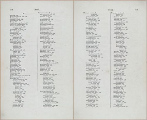 E675 - A System of Human Anatomy - 5784-5785
