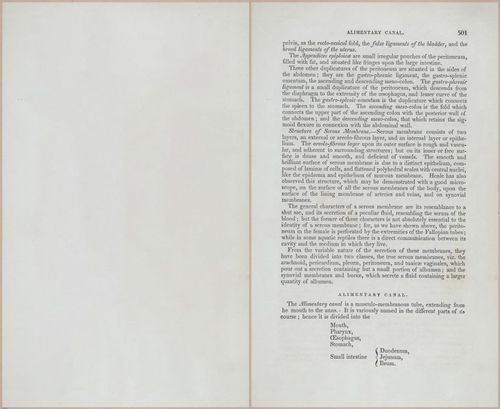 E675 - A System of Human Anatomy - p92-5714