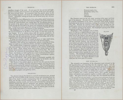 E675 - A System of Human Anatomy - p92-5717-5718