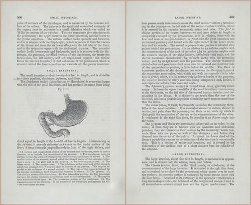 E675 - A System of Human Anatomy - p92-5719-5720