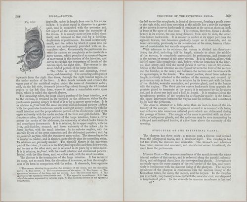E675 - A System of Human Anatomy - p92-5721-5722