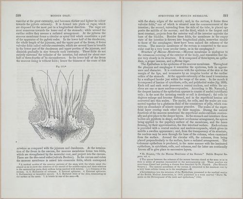 E675 - A System of Human Anatomy - p92-5723-5724