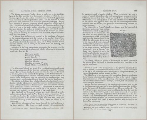 E675 - A System of Human Anatomy - p92-5725-5726