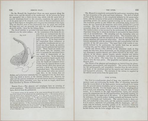 E675 - A System of Human Anatomy - p92-5727-5728