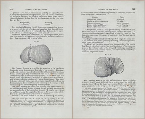 E675 - A System of Human Anatomy - p92-5729-5730