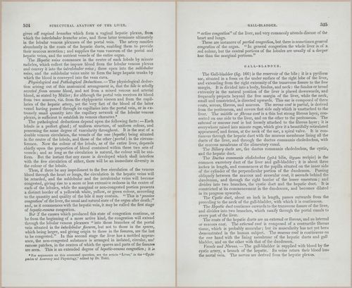 E675 - A System of Human Anatomy - p92-5737-5738