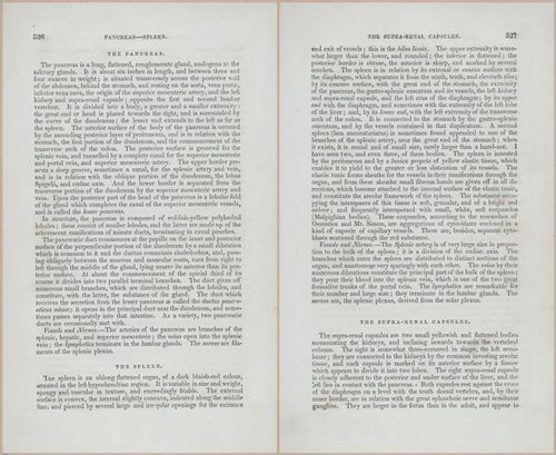 E675 - A System of Human Anatomy - p92-5739-5740