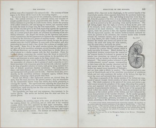E675 - A System of Human Anatomy - p92-5741-5742