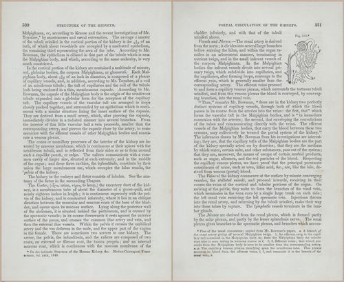 E675 - A System of Human Anatomy - p92-5743-5744