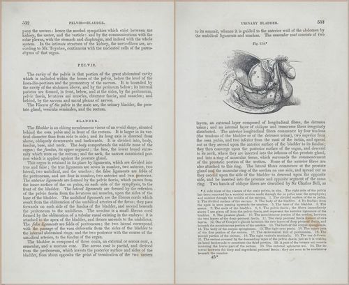 E675 - A System of Human Anatomy - p92-5745-5746