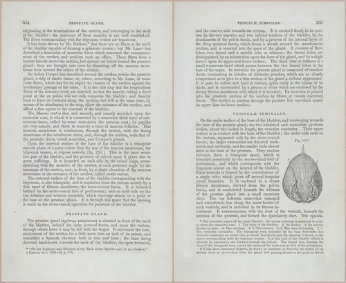 E675 - A System of Human Anatomy - p92-5747-5748