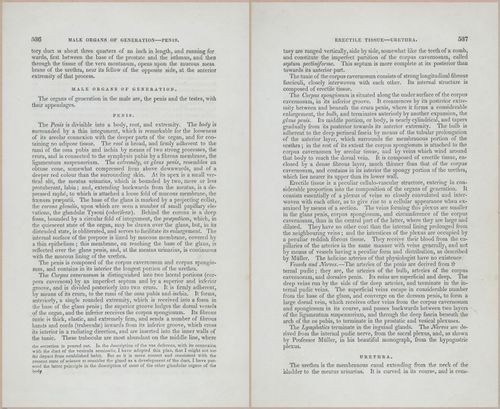E675 - A System of Human Anatomy - p92-5749-5750