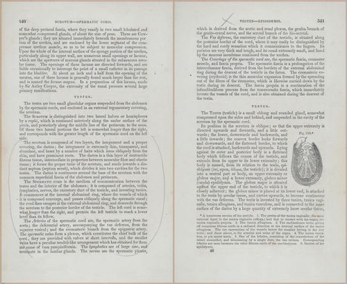 E675 - A System of Human Anatomy - p92-5753-5754