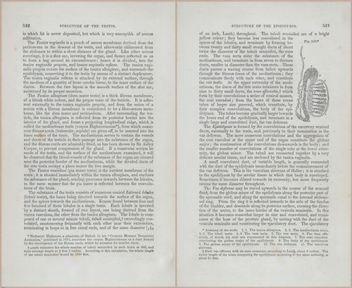 E675 - A System of Human Anatomy - p92-5755-5756
