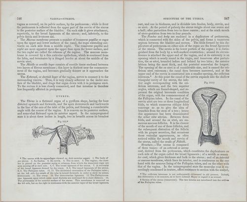 E675 - A System of Human Anatomy - p92-5759-5760