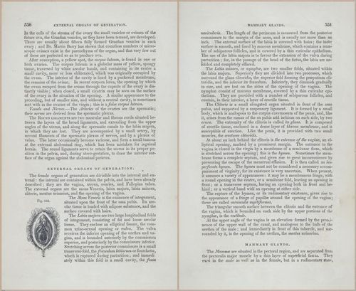 E675 - A System of Human Anatomy - p92-5763-5764