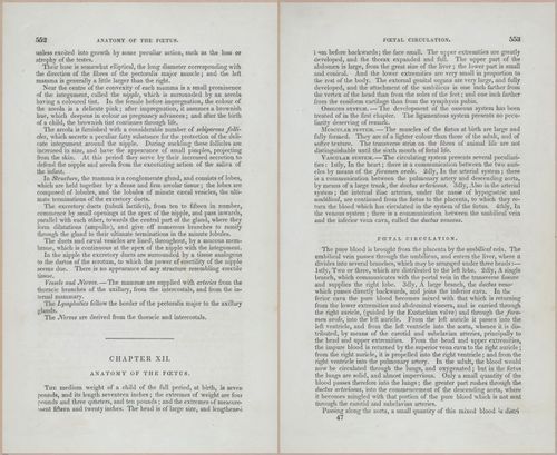 E675 - A System of Human Anatomy - p92-5765-5766