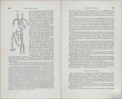 E675 - A System of Human Anatomy - p92-5767-5768