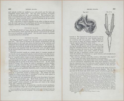 E675 - A System of Human Anatomy - p92-5769-5770