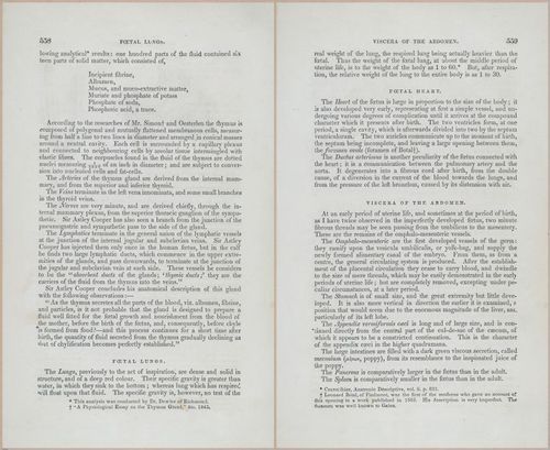 E675 - A System of Human Anatomy - p92-5771-5772