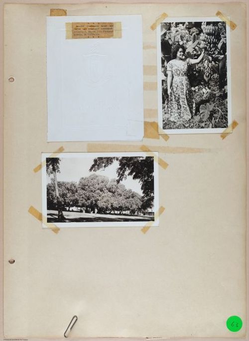E687 - Lewis Scrapbook #3 - E675 - i5037