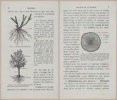 &nbsp;E694 - D'Agriculture - i6028-6029