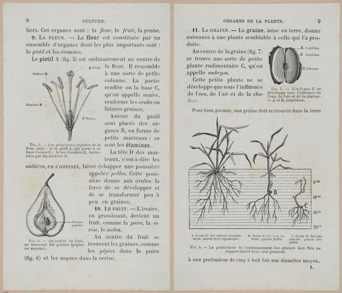 &nbsp;E694 - D'Agriculture - i6030-6031