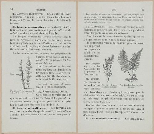 &nbsp;E694 - D'Agriculture - i6038-6039
