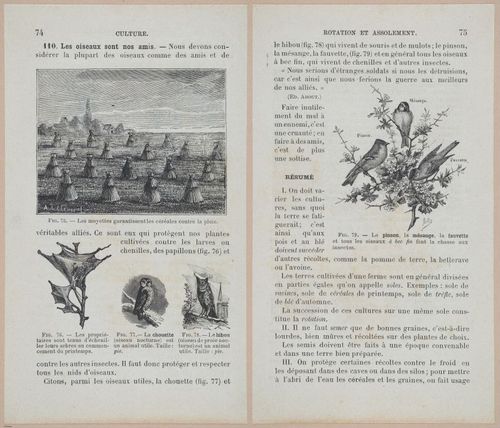 &nbsp;E694 - D'Agriculture - i6096-6097