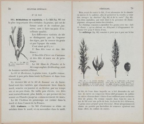 &nbsp;E694 - D'Agriculture - i6100-6101