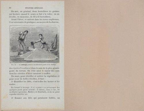 &nbsp;E694 - D'Agriculture - i6102