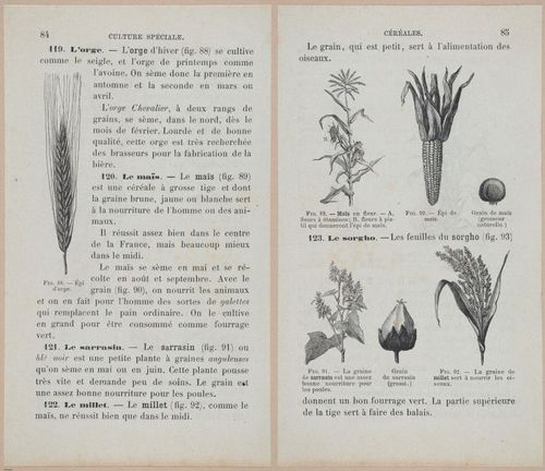 &nbsp;E694 - D'Agriculture - i6105-6106