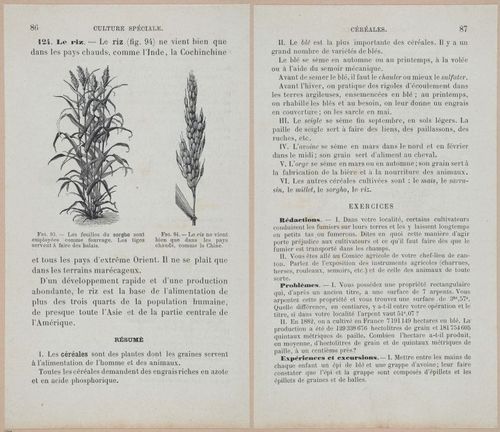 &nbsp;E694 - D'Agriculture - i6107-6108