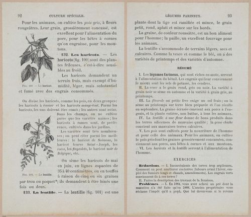 &nbsp;E694 - D'Agriculture - i6113-6114
