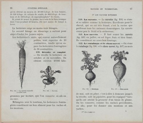 &nbsp;E694 - D'Agriculture - i6117-6118
