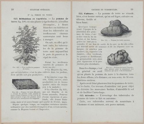&nbsp;E694 - D'Agriculture - i6119-6120