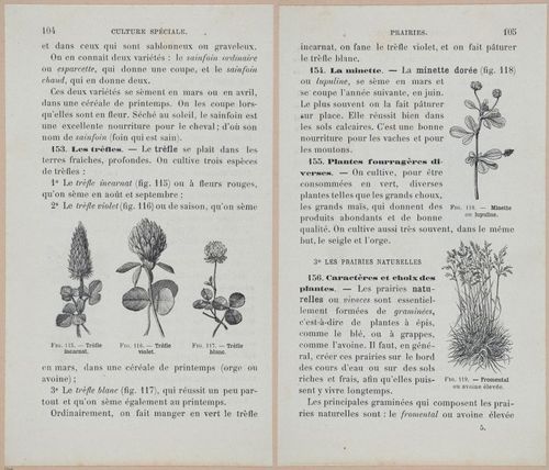 &nbsp;E694 - D'Agriculture - i6125-6126