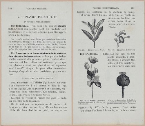 &nbsp;E694 - D'Agriculture - i6131-6132