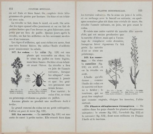 &nbsp;E694 - D'Agriculture - i6133-6134