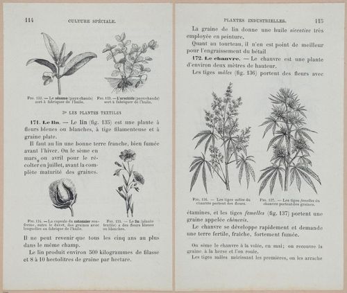 &nbsp;E694 - D'Agriculture - i6135-6136