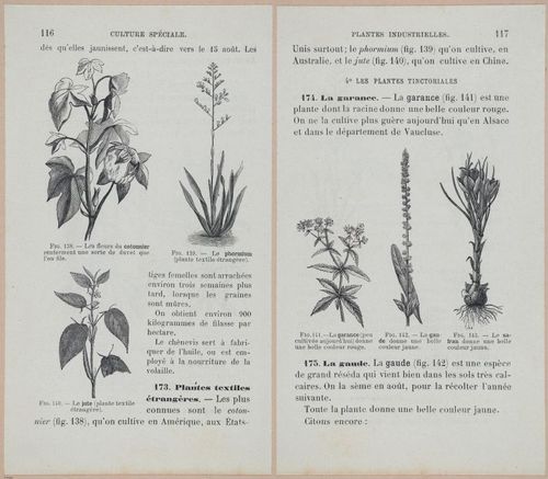 &nbsp;E694 - D'Agriculture - i6137-6138